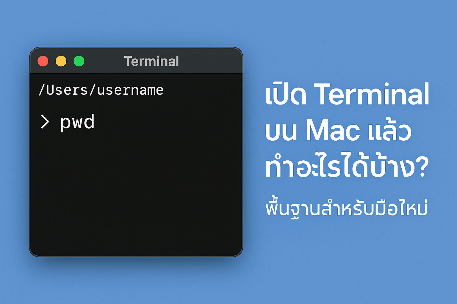 เปิด Terminal บน Mac แล้วทำอะไรได้บ้าง? พื้นฐานสำหรับมือใหม่หัดใช้ macOS