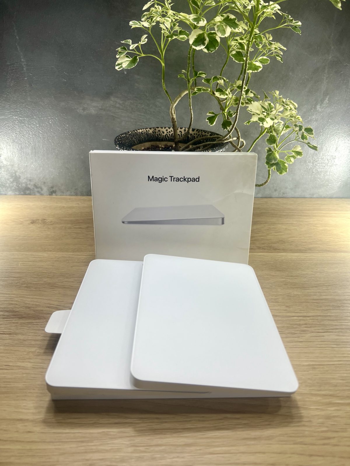 Magic TrackPad (มือสอง) รูปที่ 4