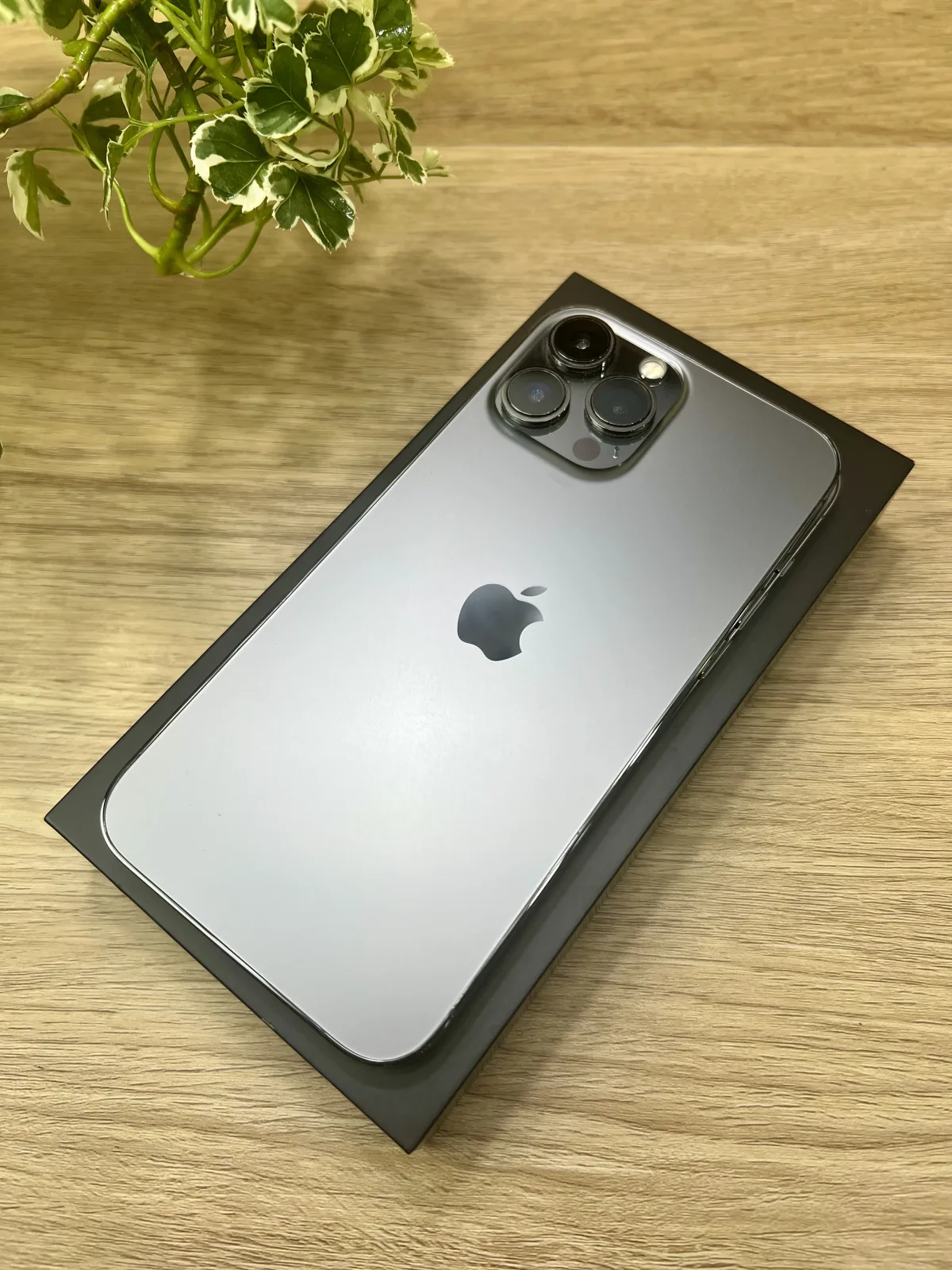 iPhone13 Pro Max รูปที่ 6